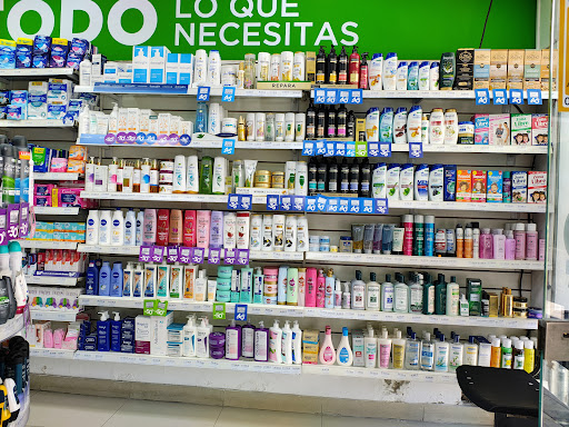 Farma 24