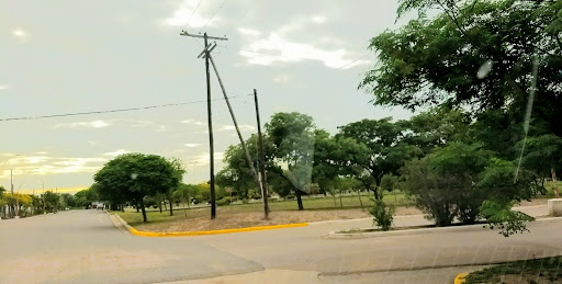 Las Arrias