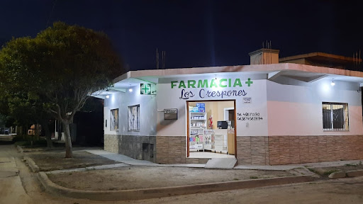 FARMACIA LOS CRESPONES