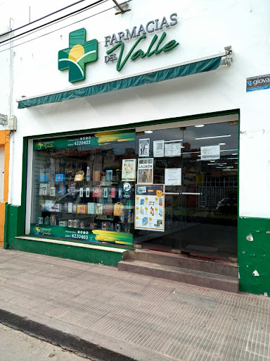 FARMACIA DEL VALLE I