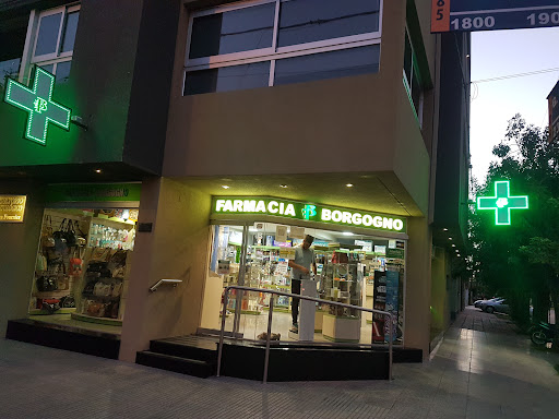 Farmacia Borgogno